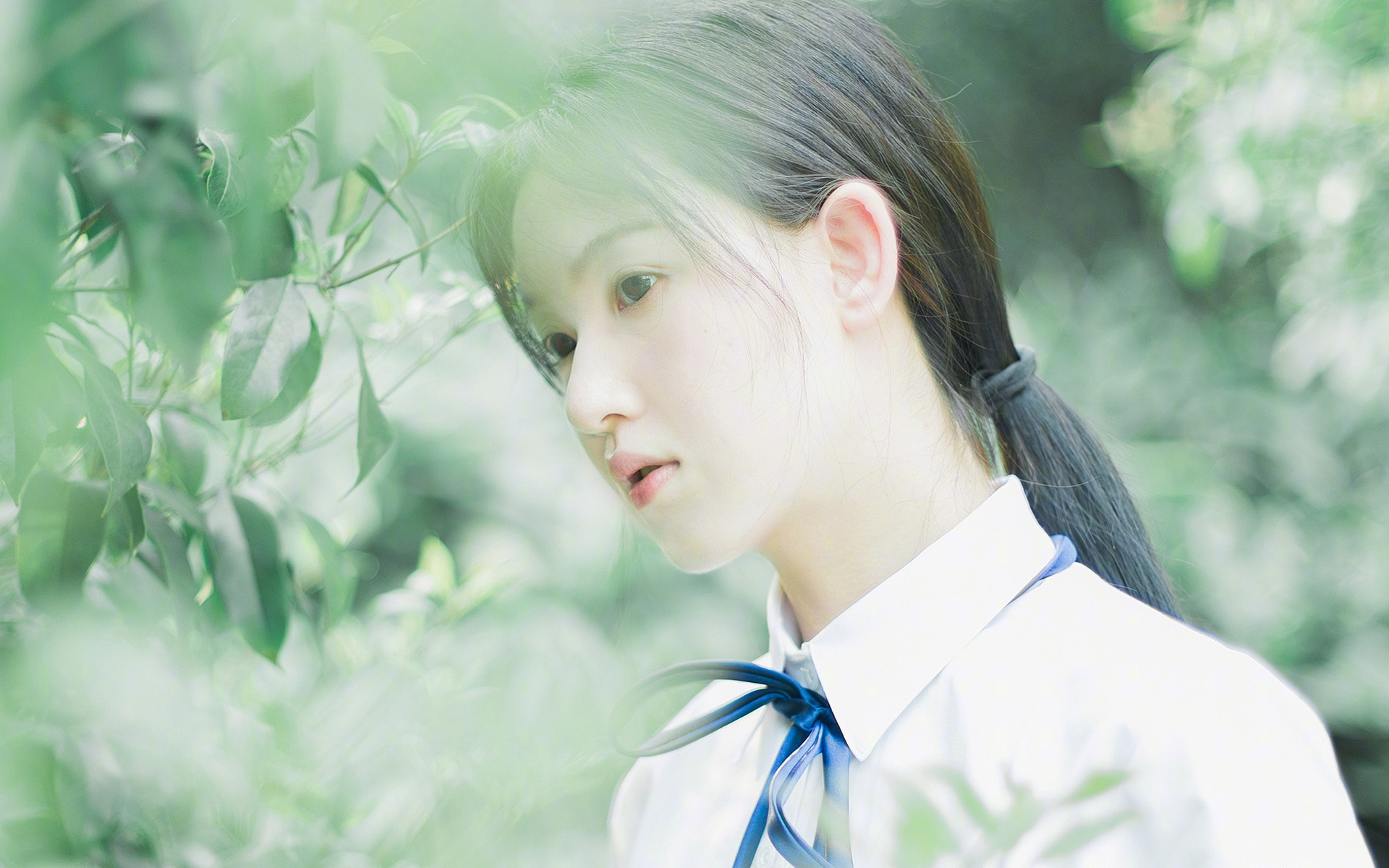 球员伤病率高对联赛影响，受伤球员