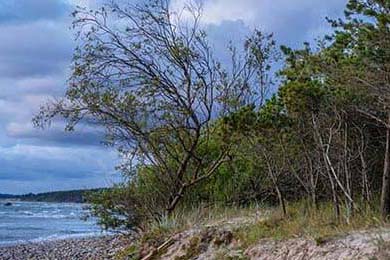 卡普尔凭借稳定表现和突破力，让袋鼠队在比赛中占得先机，卡普尔什么意思