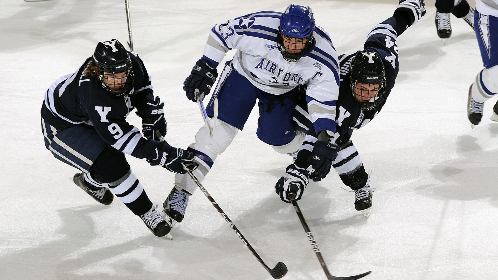 “马丁·高尔西的战术灵感引领美洲狮队防线的全面升级”