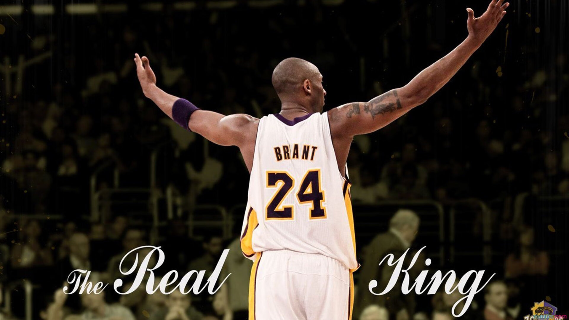 《王者荣耀》年度大赏评选开启，粉丝热情高涨，王者年度颁奖